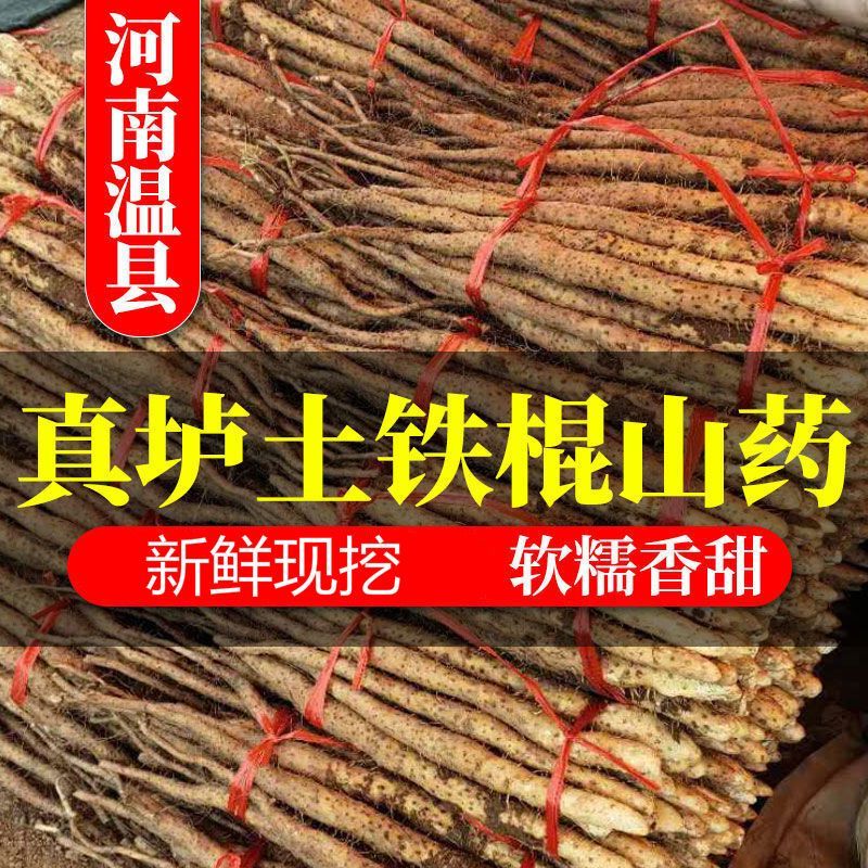 正宗河南焦作温县铁棍山药怀山药新鲜现挖产地直销垆土铁棍山药