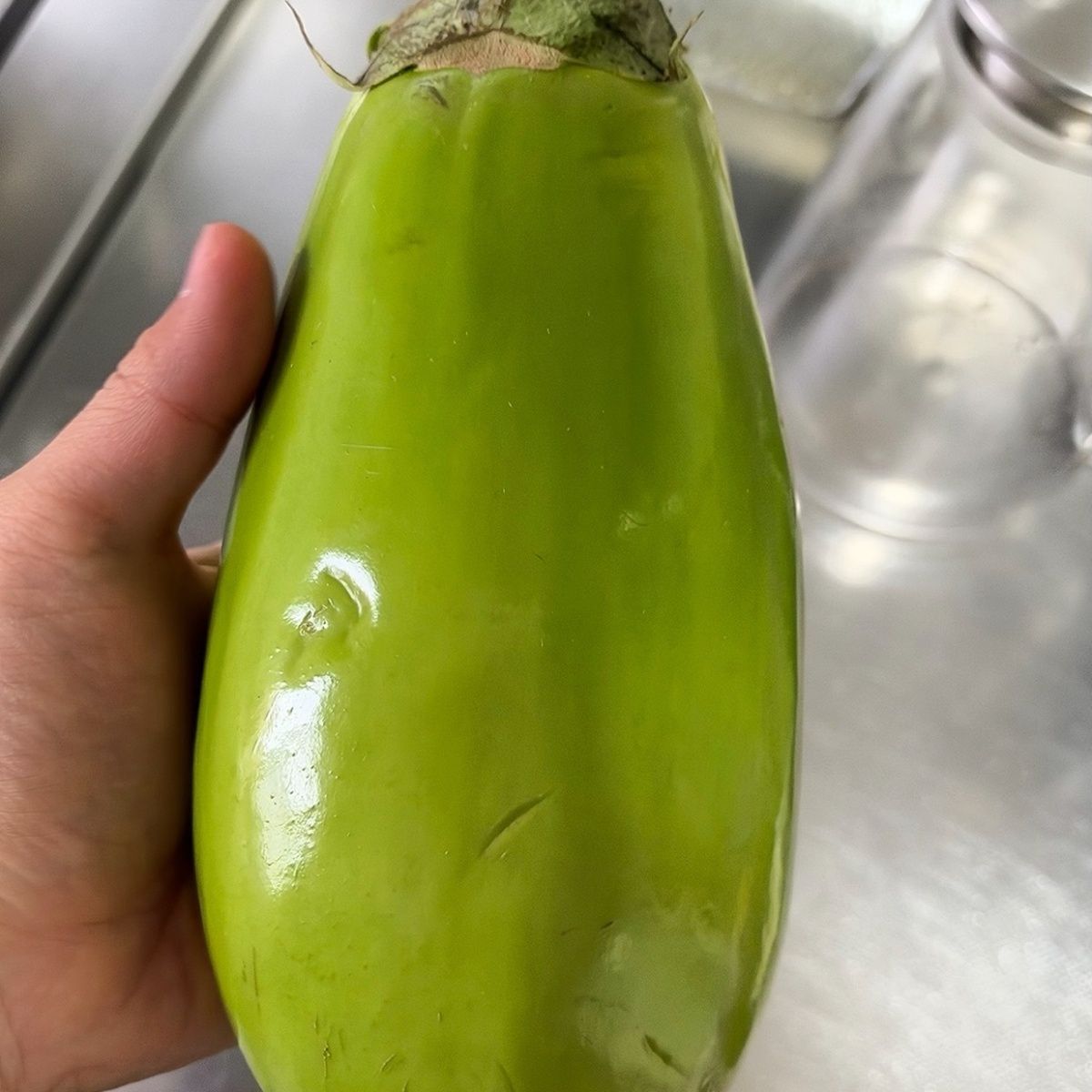 东北鞍山现发农家自种辽宁绿茄子现摘新鲜当季蔬菜大小随机发货