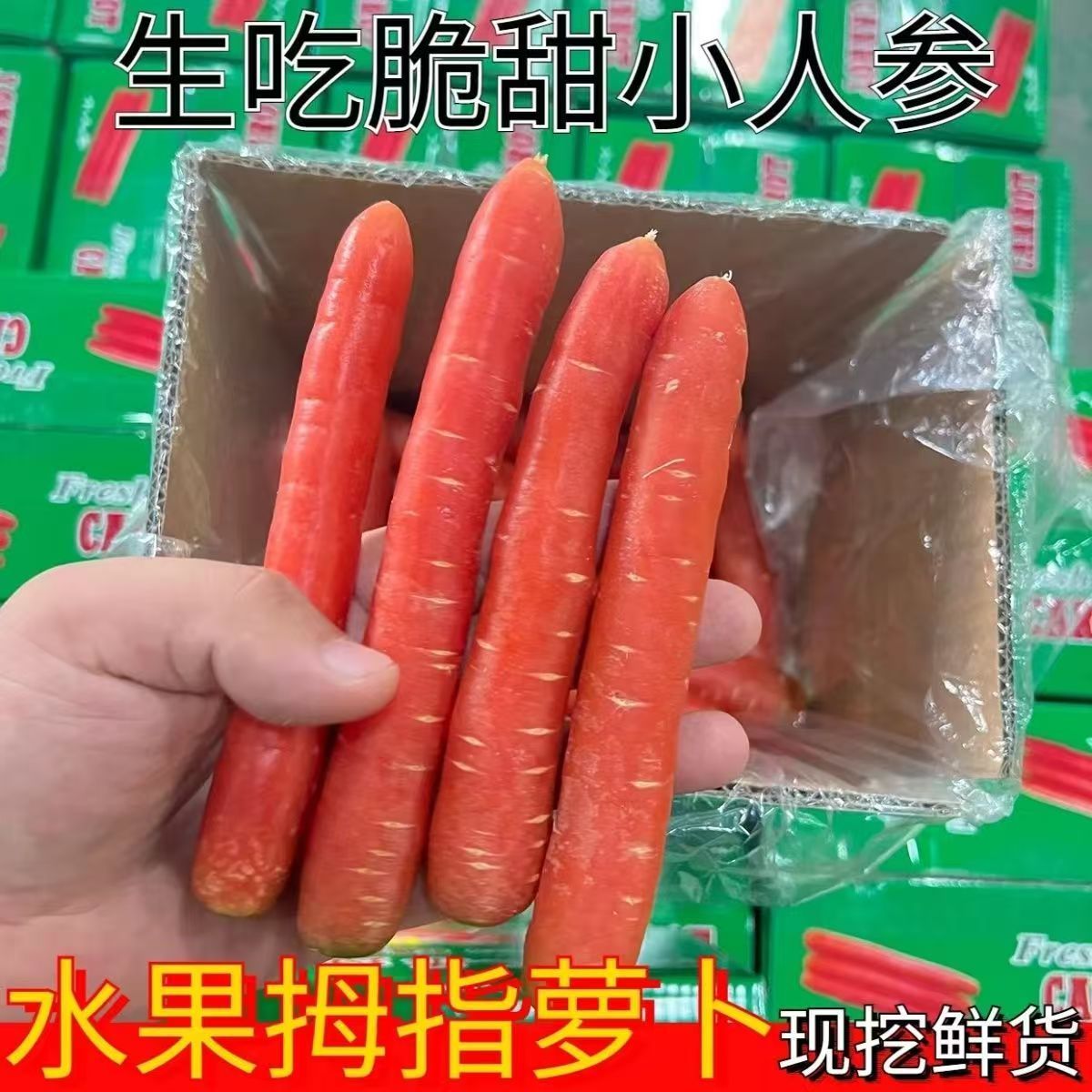 【力推】生吃拇指红萝卜脆甜可口新鲜现拔红皮拇指红萝卜