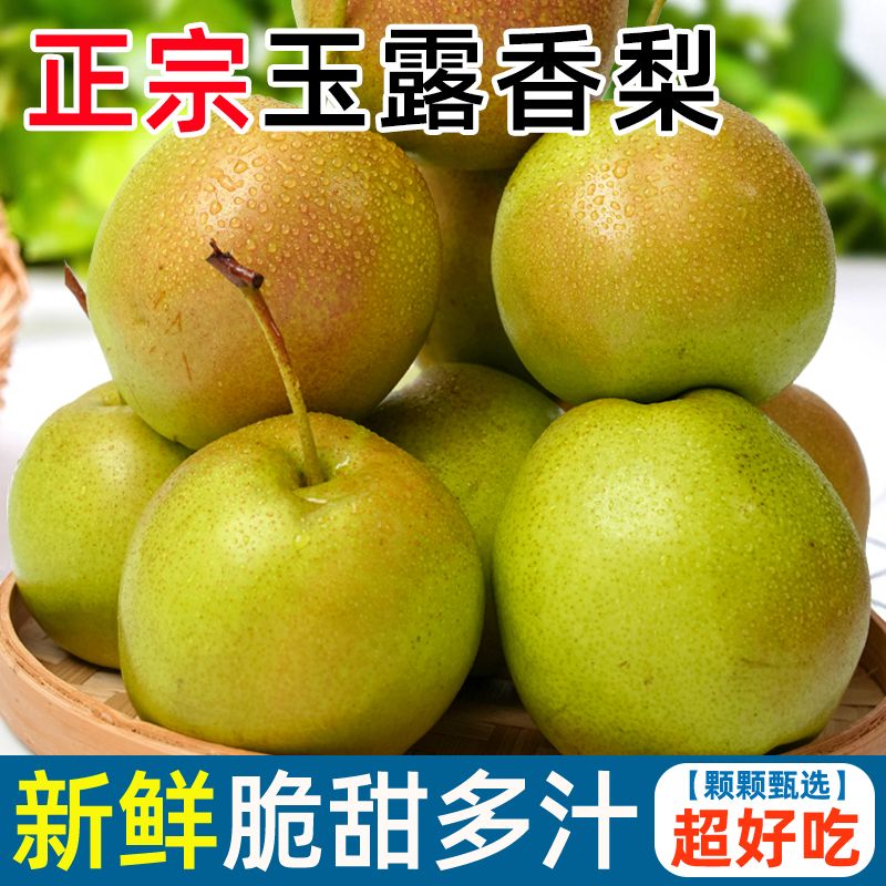 正宗玉露香梨当季新鲜水果薄皮梨子脆甜多汁无渣产地直发整箱批发