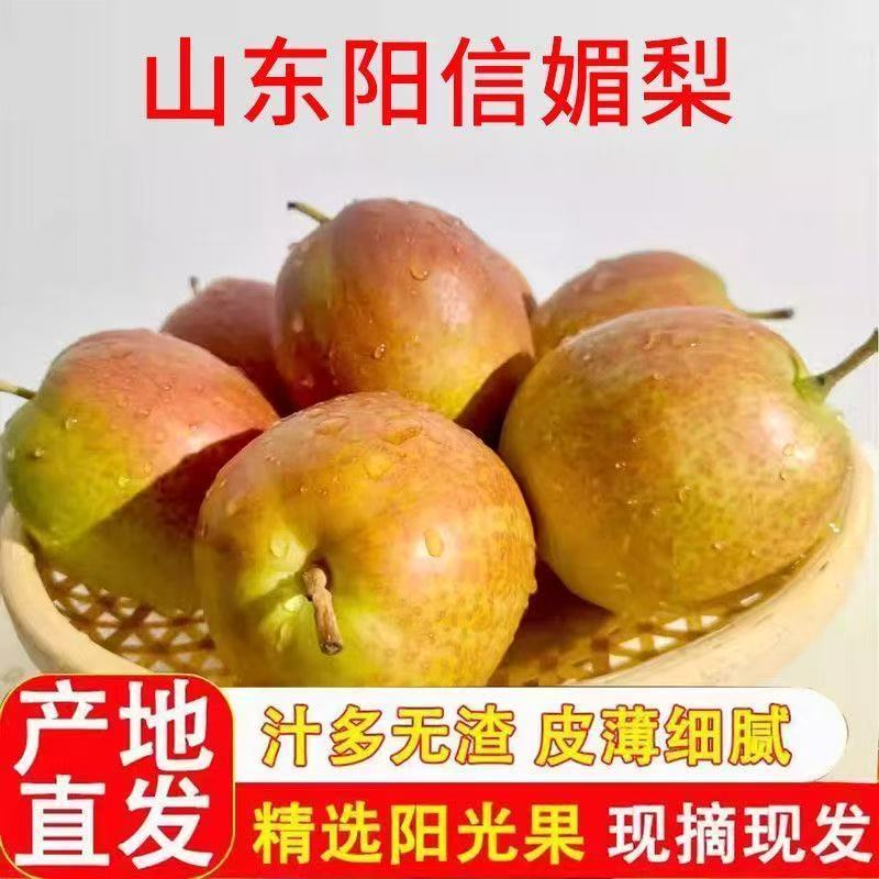 正宗山东媚梨7号薄皮媚梨当季梨子脆甜新鲜水果阳信原产地发货