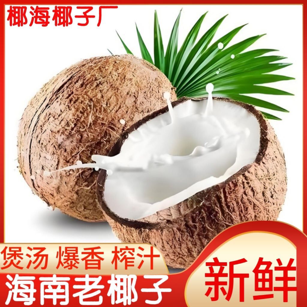 海南正宗毛椰椰子热带煲汤椰青新鲜当季孕妇去皮整箱水果椰皇
