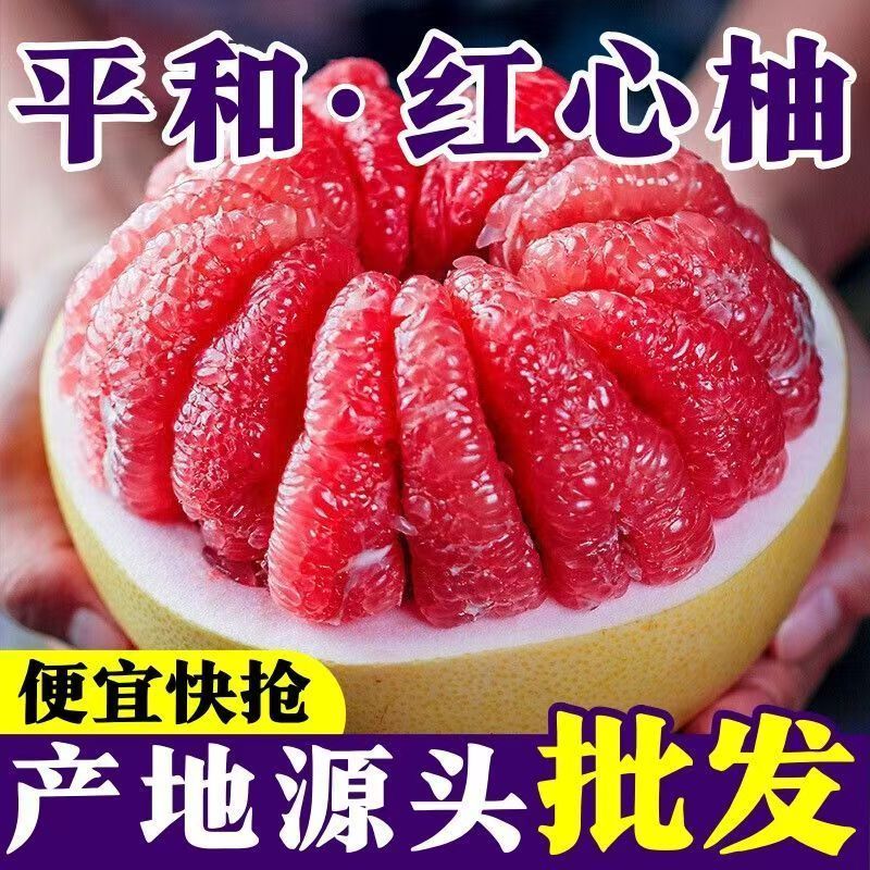 福建平和琯溪红心蜜柚红柚红肉柚子酸甜可口应季水果新鲜批发彩箱