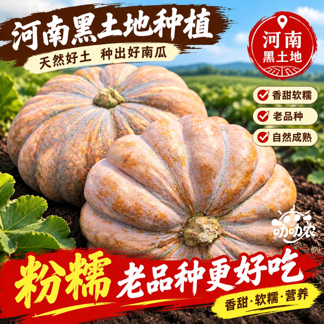 【超划算】新盘龙南瓜磨盘圆南瓜赖皮南瓜新鲜软糯香甜产地直发