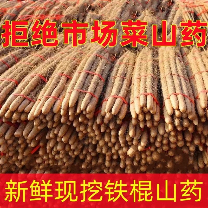 正宗铁棍山药小白嘴山药淮山粉糯面淮山铁棍山药新鲜蔬菜山药批发