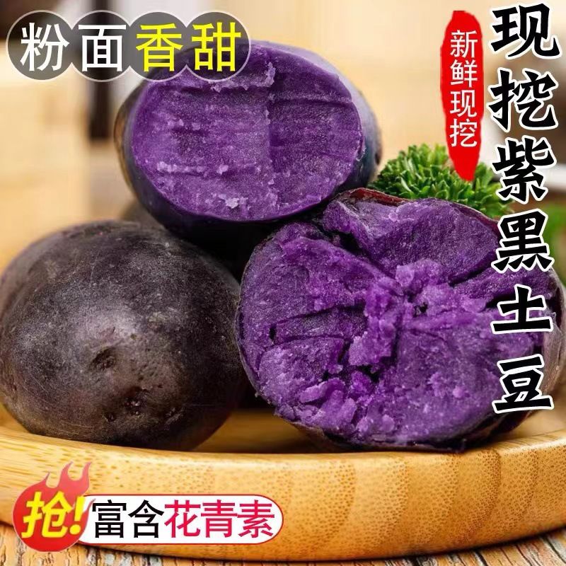 紫土豆黑土豆黑金刚新鲜紫色洋芋马铃薯黑美人大果紫心5斤云南
