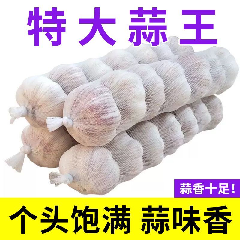 特级55-60果新蒜山东金乡大蒜产地直发白皮干蒜大蒜子网兜装净蒜