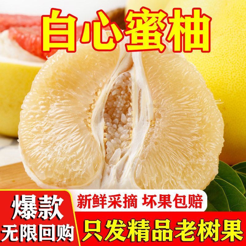 [彩箱】福建平和白心蜜柚新鲜水果应季白肉柚子孕妇薄皮白柚批发