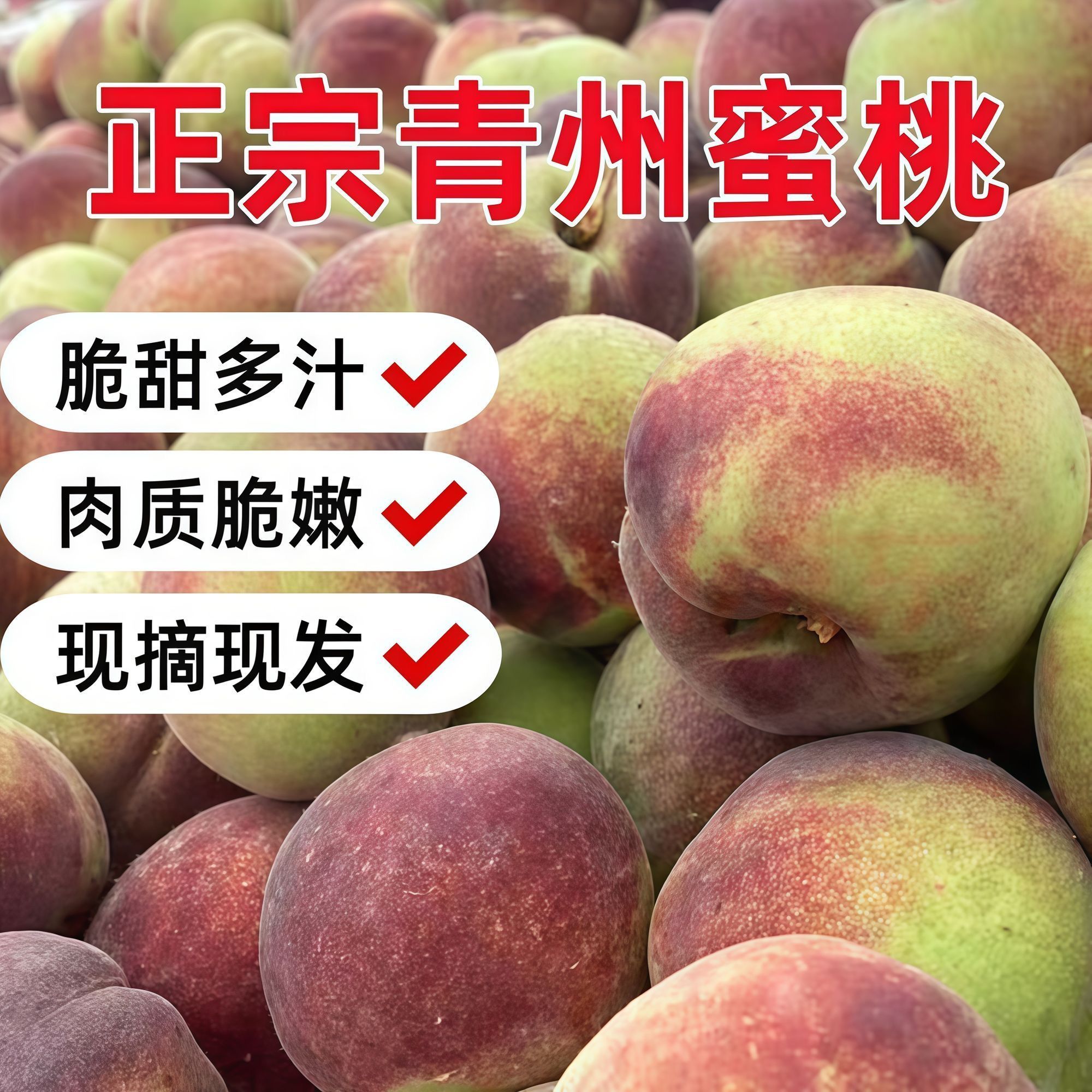 正宗山东青州蜜桃脆甜毛桃离核当季新鲜现摘水果小脆桃青皮脆蜜桃