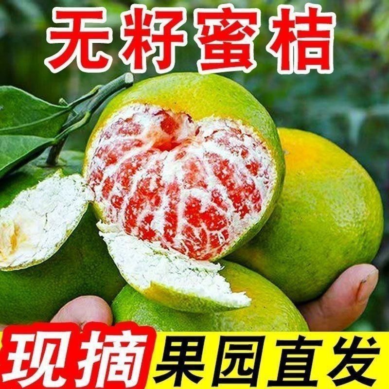 四川青皮蜜橘正宗橘子桔子薄皮无籽孕妇新鲜当季现摘水果蜜桔酸甜