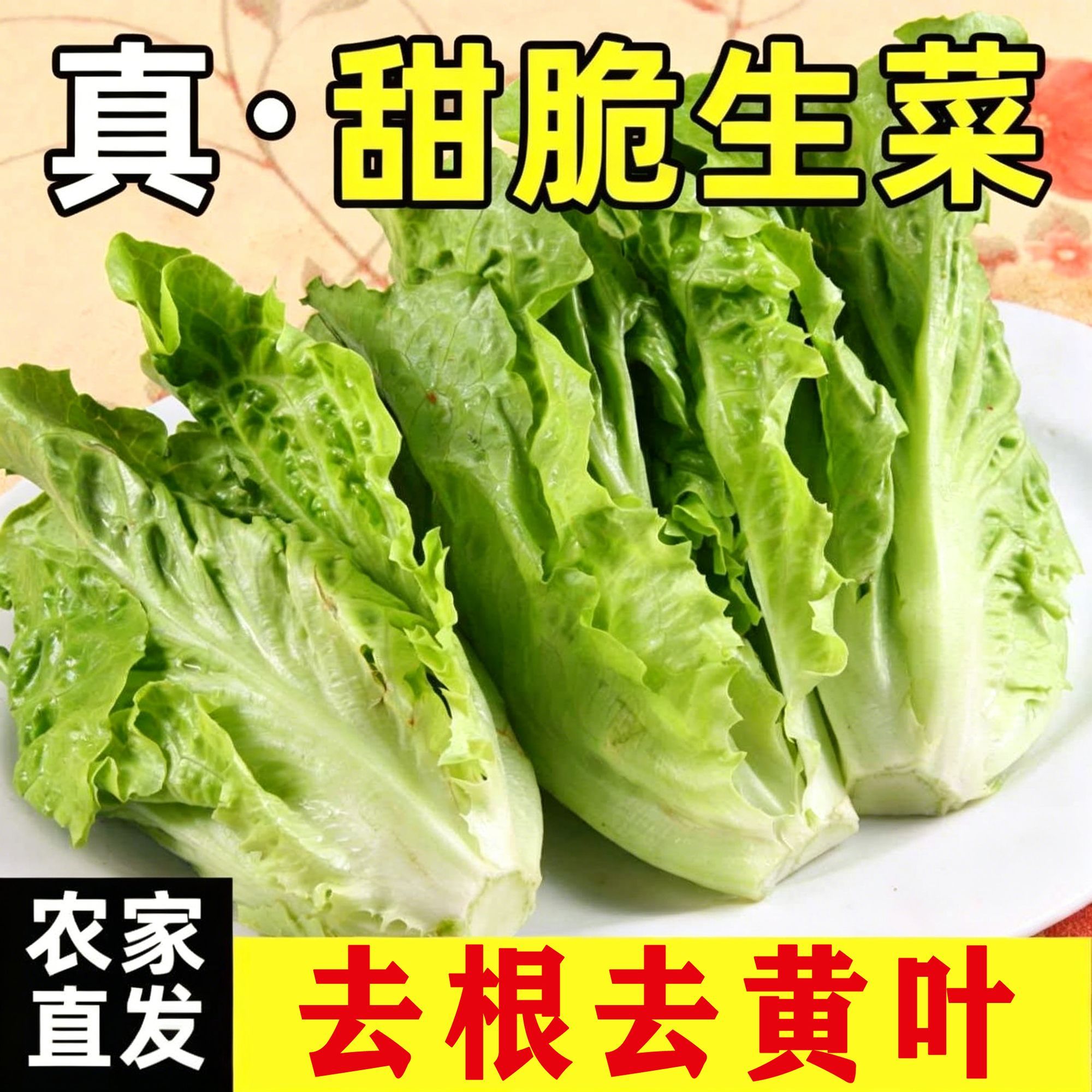 新鲜现摘农家生菜翠绿爽口