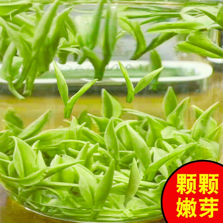 2026新茶明前头采特级白茶正宗嫩芽高档高山绿茶叶浓香罐装礼盒装