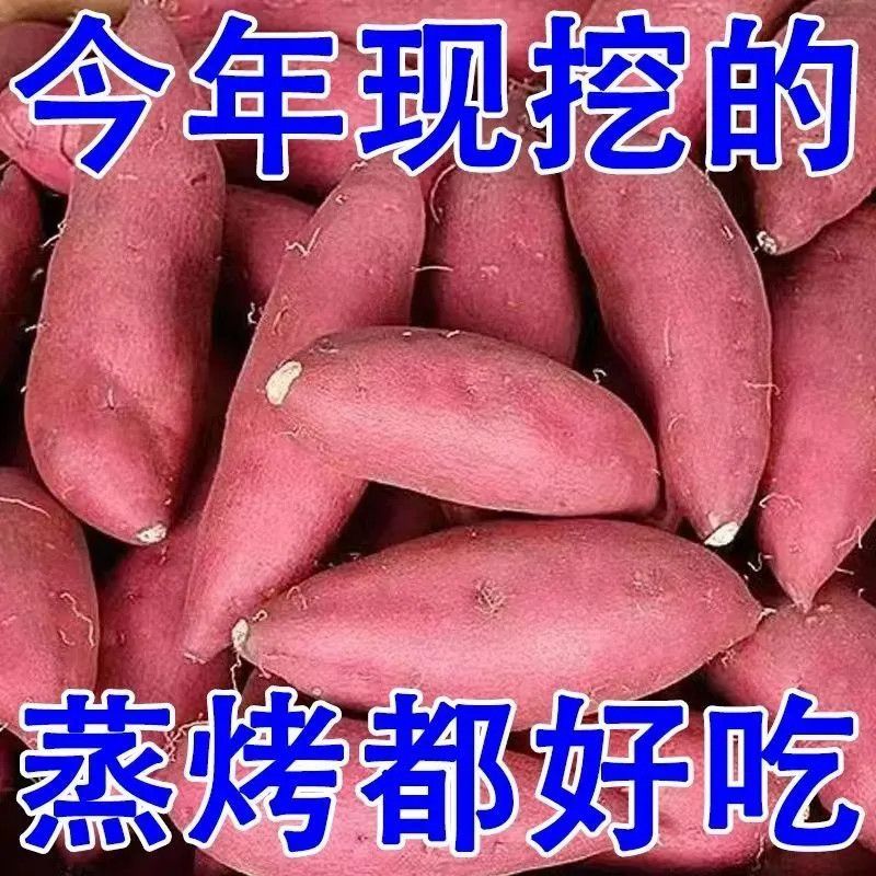 太便宜】红心蜜薯一整箱新鲜红薯糖心番薯西瓜红香甜地瓜蒸煮