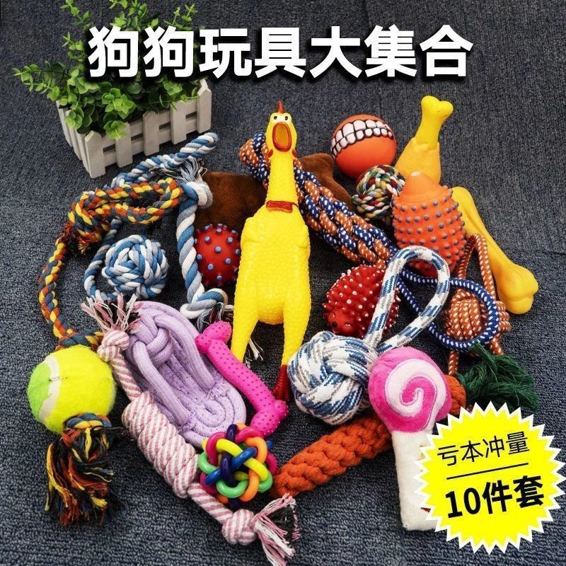 宠物狗狗玩具解闷神器耐咬球自嗨磨牙独处发声套装金毛泰迪犬用品