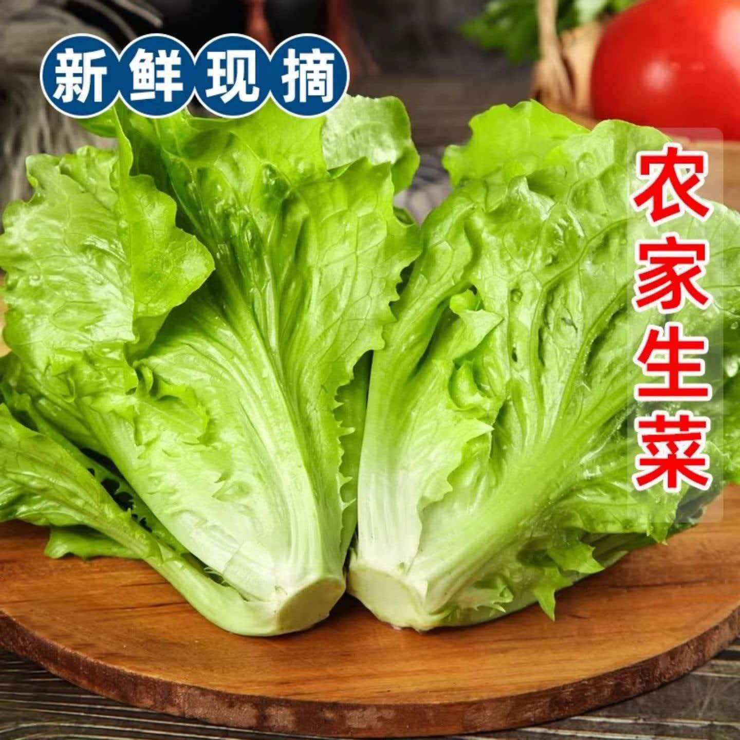 【现砍现发】意大利奶油生菜火锅烤肉好搭档甜脆嫩好吃正宗批发