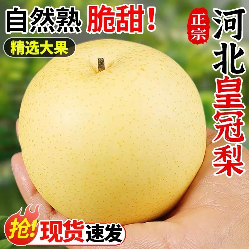 正宗皇冠梨10斤河北脆甜黄冠梨子套袋果新鲜水果3/5斤整箱酥皮薄