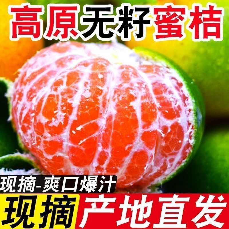 特早熟蜜桔产地直发蜜橘薄皮橘子青皮桔子水果无籽酸甜新鲜现摘