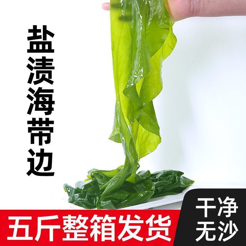 盐渍海带边子大连正宗凉拌菜火锅串麻辣烫食材整箱批发海带边