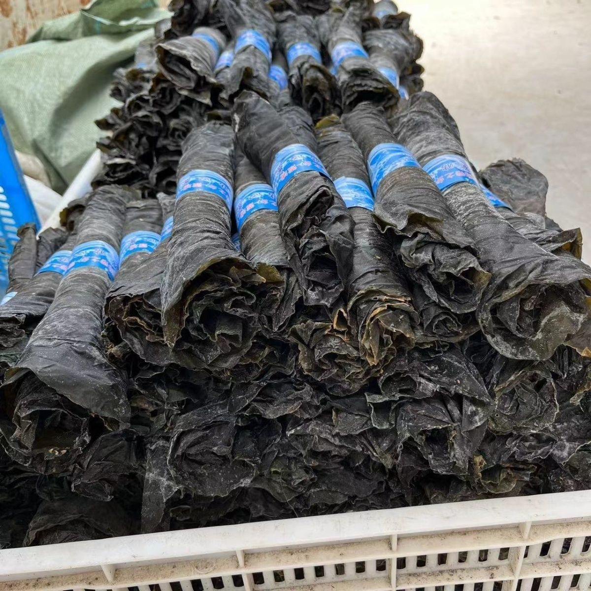 霞浦福建海带卷纯天然批发日晒凉拌干货商用煲汤无盐无沙正宗爆炒