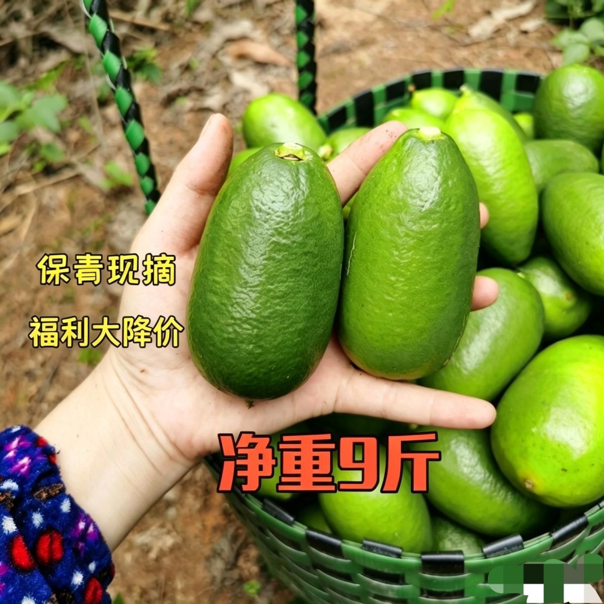 正宗海南子弹头香水柠檬茶厚薄皮无籽青柠檬鲜果奶茶店专用水果