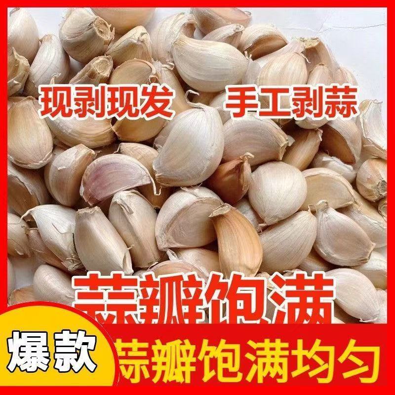 2026年大蒜蒜瓣纯手剥新蒜瓣河南紫白皮蒜瓣可吃新鲜干蒜大蒜散瓣
