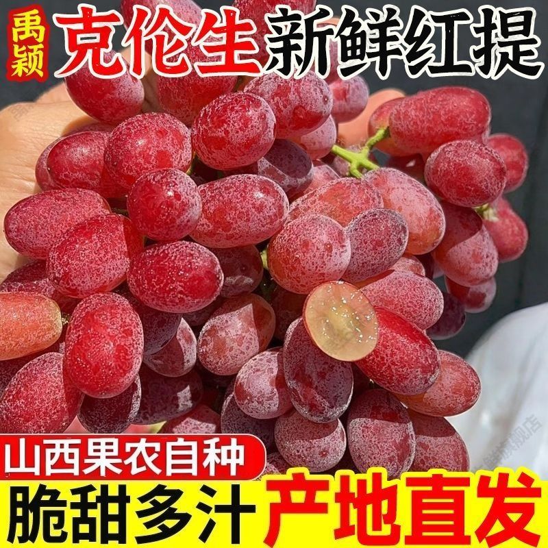 克伦生红提子新鲜酸甜葡萄脆甜多汁当季水果产地批发一整箱