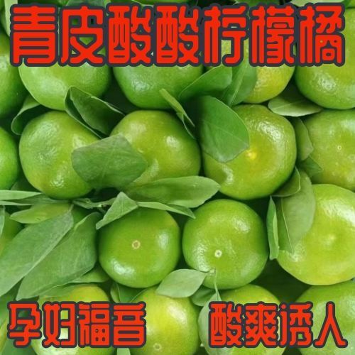【孕妇推荐】新鲜现摘青皮酸甜橘子薄皮无籽蜜桔孕妇当季时令水果