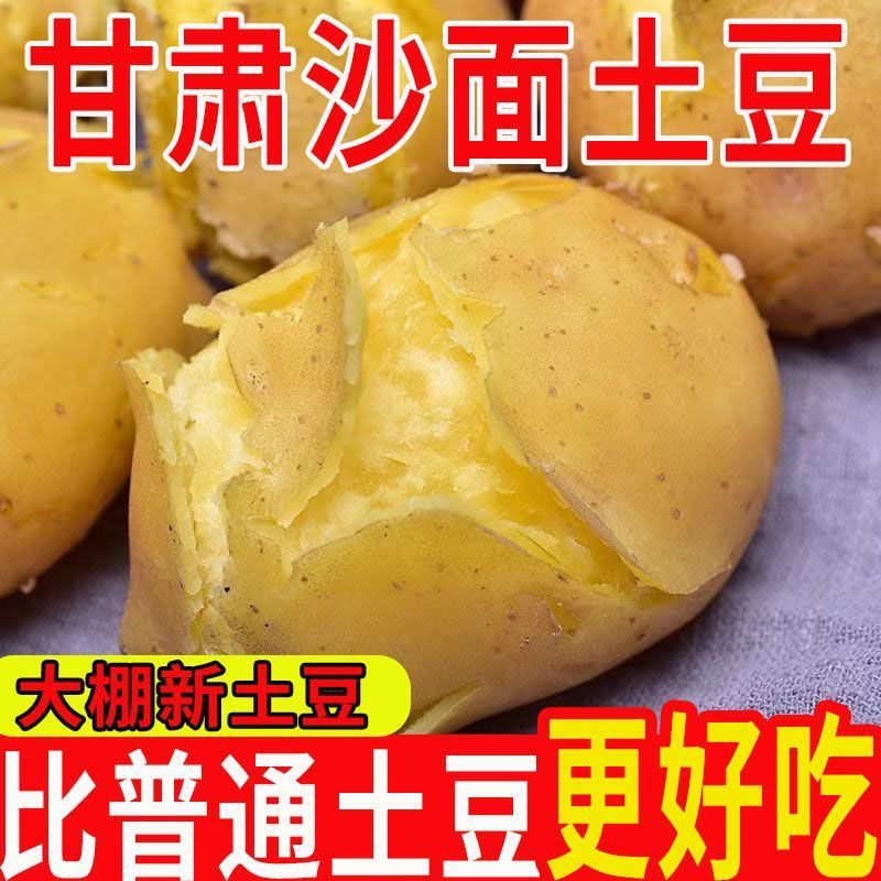 2026粉糯定西土豆甘肃沙面马铃薯洋芋黄皮黄心土豆新鲜蔬菜批发价