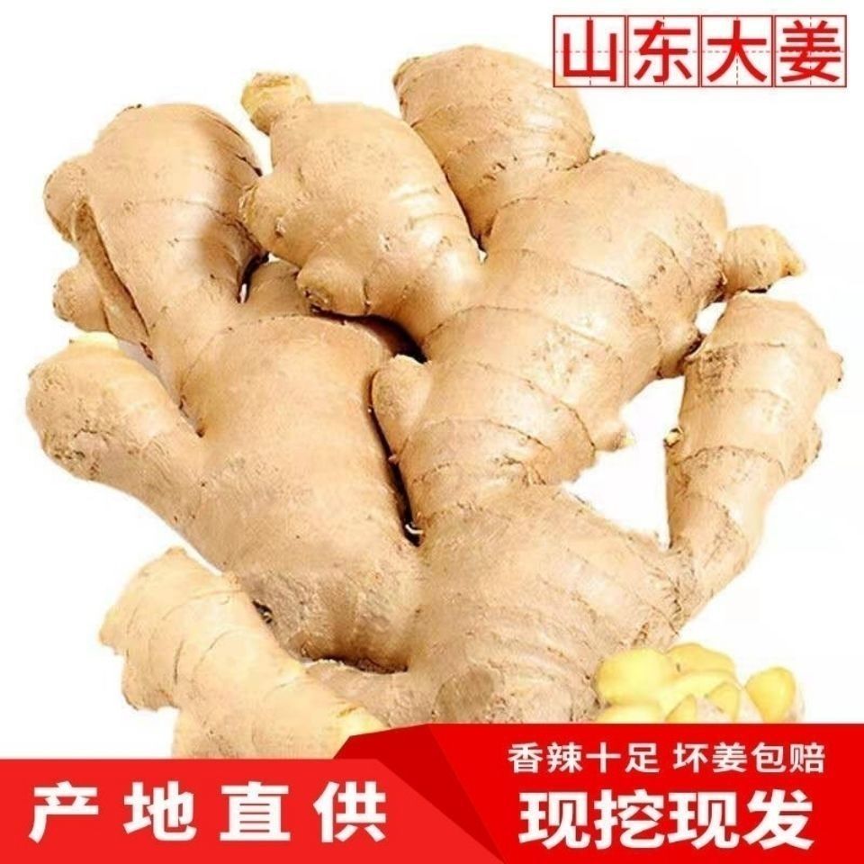 【特级】山东大姜干净姜优质生姜老姜农家现挖新鲜小黄姜批发整箱
