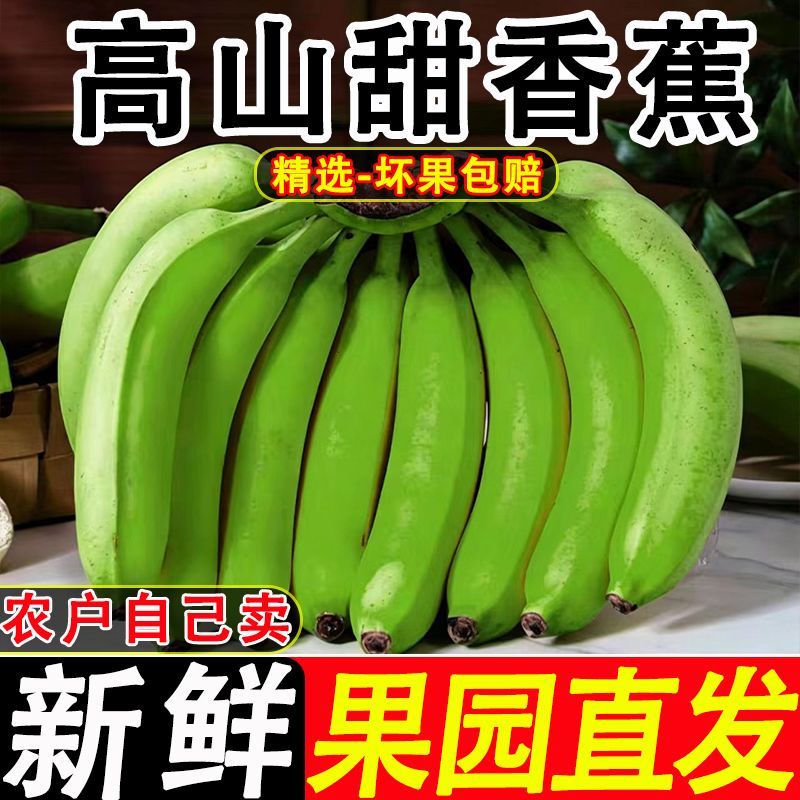 【彩箱】正宗广西高山香蕉自然单根大果青皮薄皮新鲜当季整箱批发