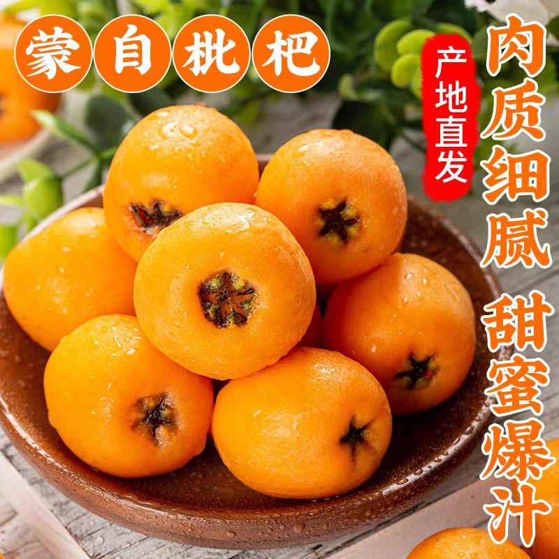 【头茬】云南高山老树蒙自枇杷新鲜水果孕妇可吃多汁甜枇杷 彩箱