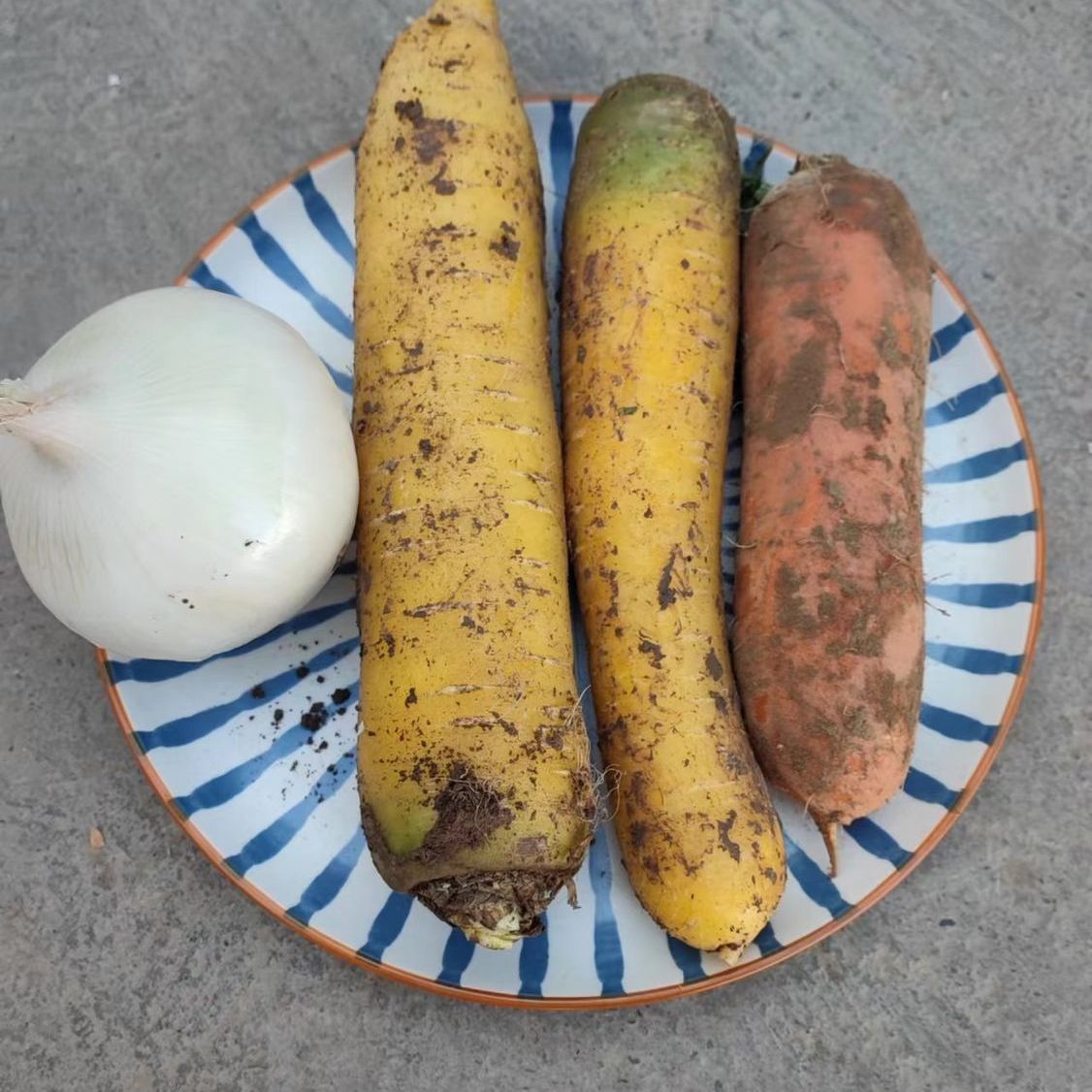 新疆冰糖心黄萝卜手抓饭白洋葱胡萝卜新鲜蔬菜生吃榨汁1斤3斤5斤