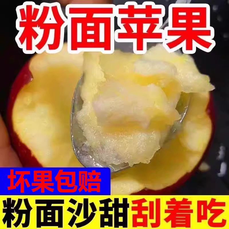 陕西秦冠苹果粉面沙香甜当季应季新鲜水果大果冰糖心丑苹果批发价