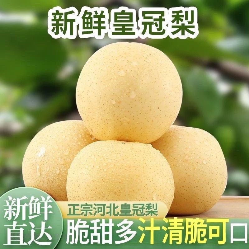 河北皇冠梨梨子新鲜脆甜水果当季现摘现发香梨薄皮梨白皮果园直发