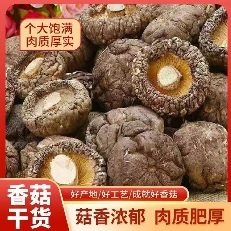 【无干燥剂】香菇干货干香菇农家香菇冬菇散装干香菇蘑菇火锅食材
