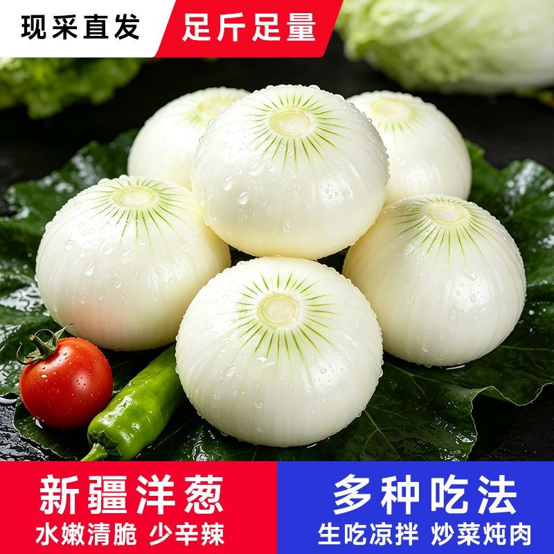 【新疆白洋葱皮牙子】白皮洋葱新鲜蔬菜抓饭凉拌便宜批发包邮直发