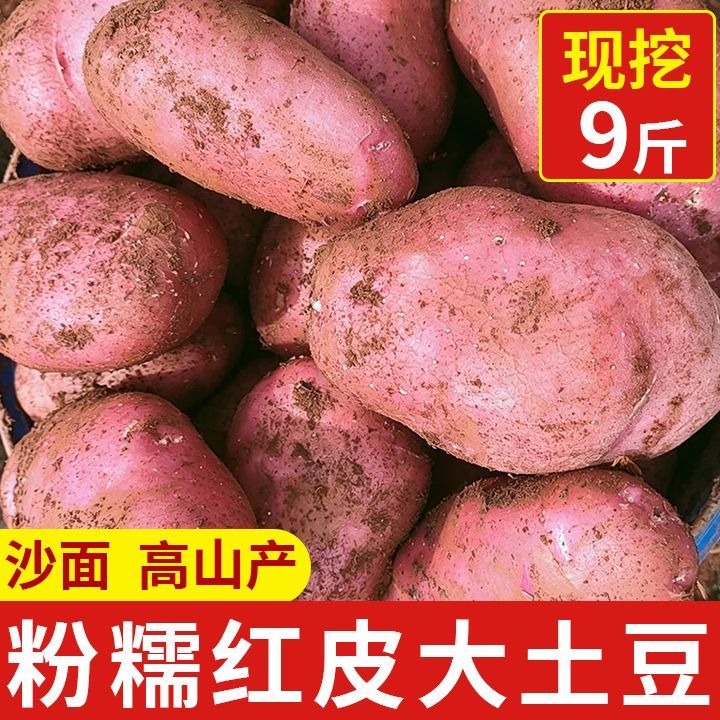 【9斤批发】正宗云南红皮土豆2026黄心洋芋现挖马铃薯新鲜蔬菜1斤