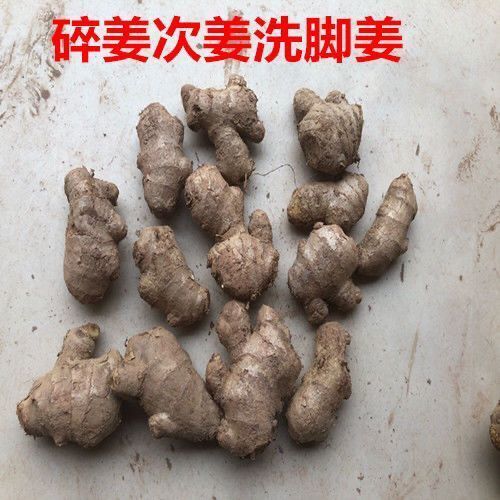 生姜老姜大黄姜小碎姜洗脚姜特价黄姜批发小块姜新鲜姜块带泥发货
