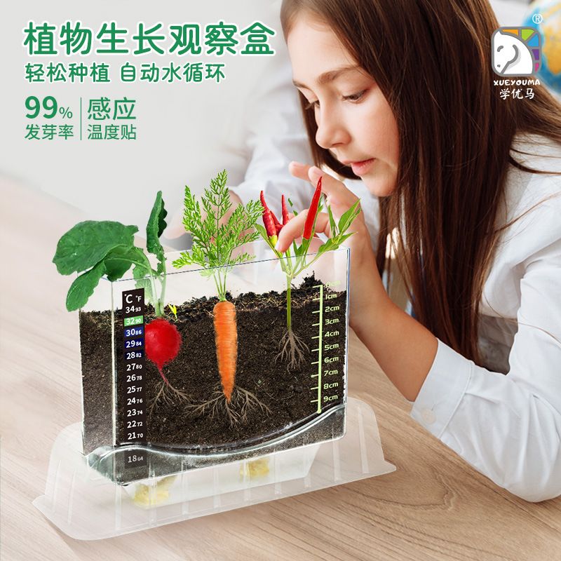 植物根系观察盒种植种子生长科学实验手工玩具儿童中小学生礼盒