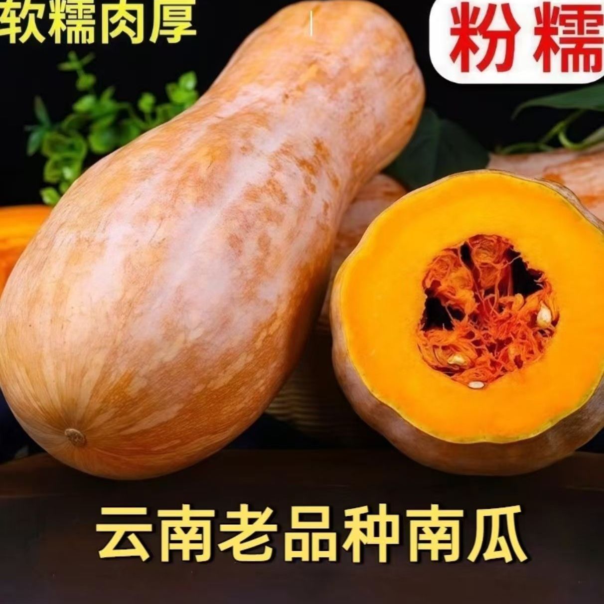 云南老南瓜农家自种新鲜采摘粉面甜糯小宝宝辅食整箱蒸煮密本南瓜