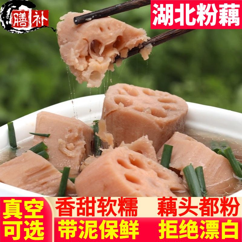 【煲汤藕】湖北粉藕新鲜莲藕糯藕面藕湖藕当季蔬菜莲藕净重莲菜