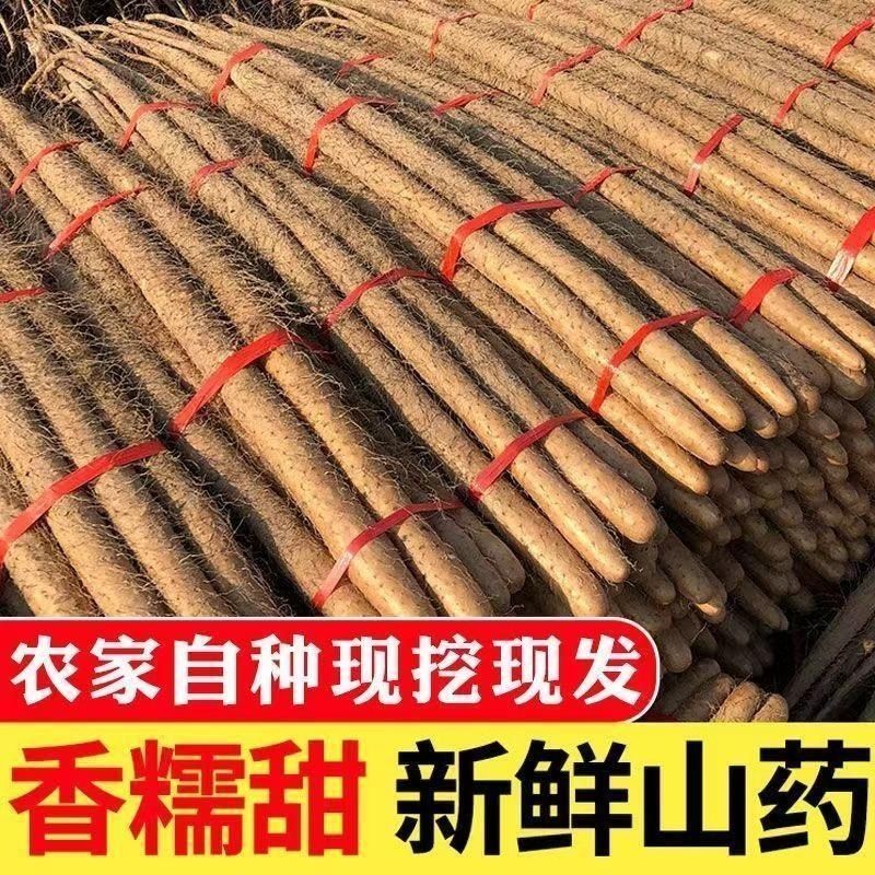 正宗蠡县铁棍山药产地直发河北沙土铁棍山药粉糯新鲜垆土山药粗粮