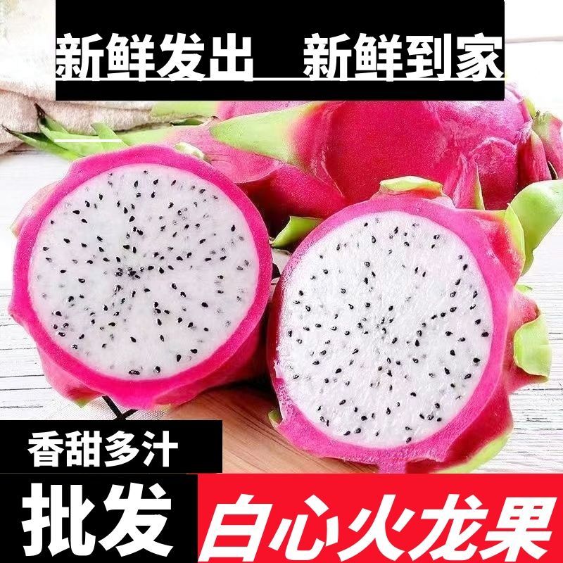 【批发价】白心火龙果热带一整箱包邮应季新鲜水果直供超甜非红心