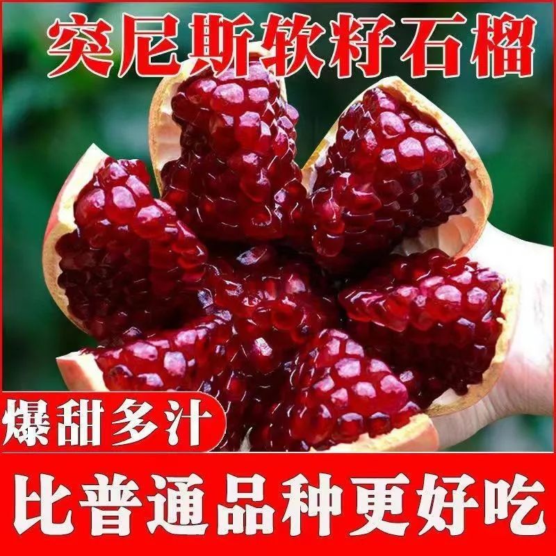 【精选大果】突尼斯软籽石榴新鲜当季水果临潼非软籽石榴