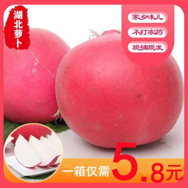 湖北农家 自种新鲜红萝卜 红皮白心胭脂萝卜腌制泡菜现挖现发