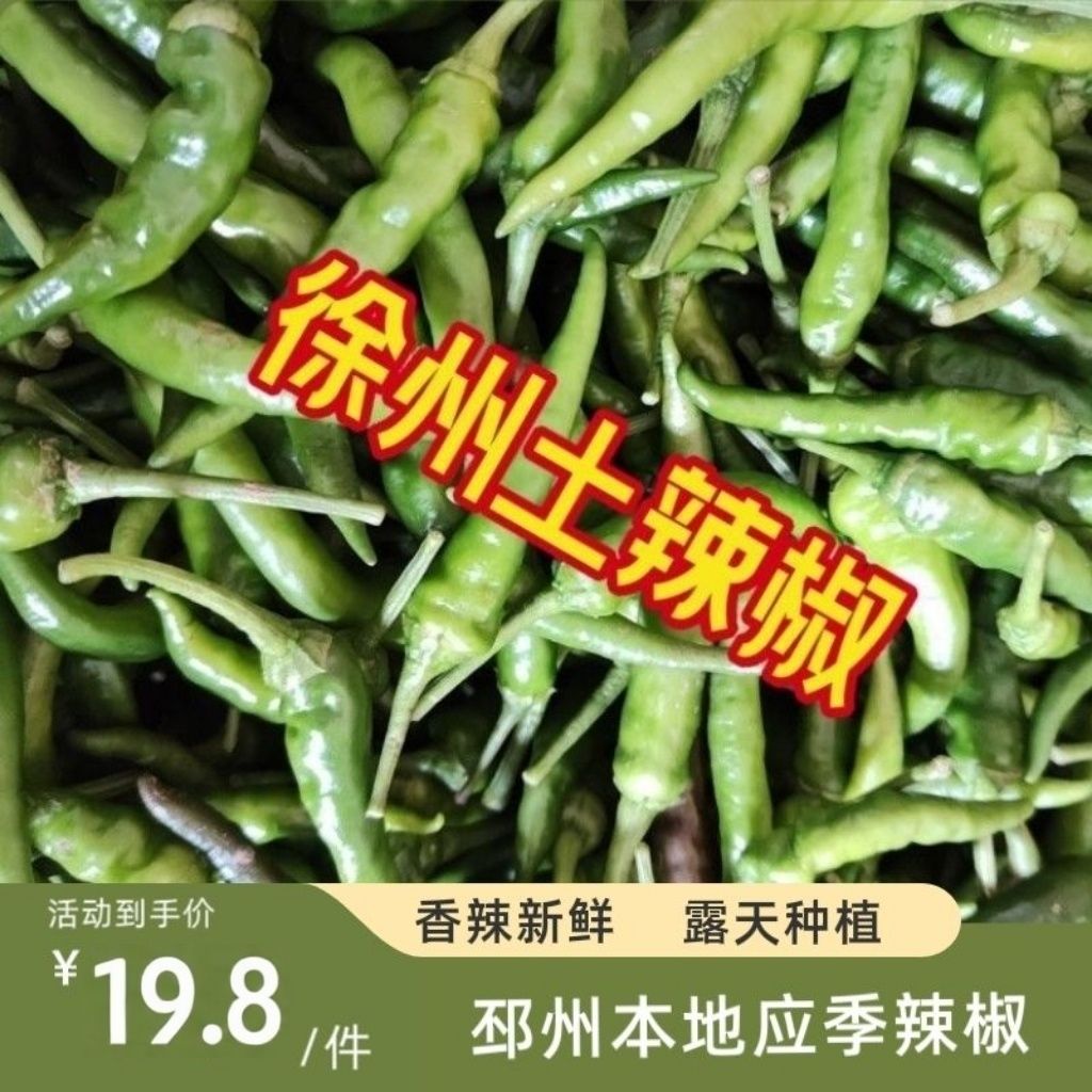 现摘邳州辣椒新鲜徐州农家土辣椒青辣椒特辣超辣自种朝天椒小米椒