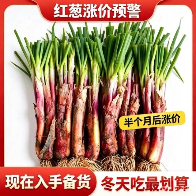 【储备冬季用葱】甘肃旱地山地红葱炖肉红皮煲汤正宗炒菜饺子新鲜