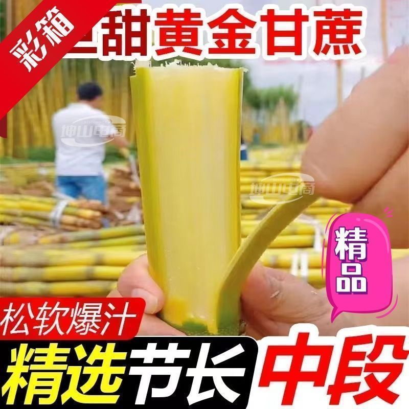【彩箱礼盒】正宗云南黄皮甘蔗新鲜中段黄金薄皮长节超甜水果批发