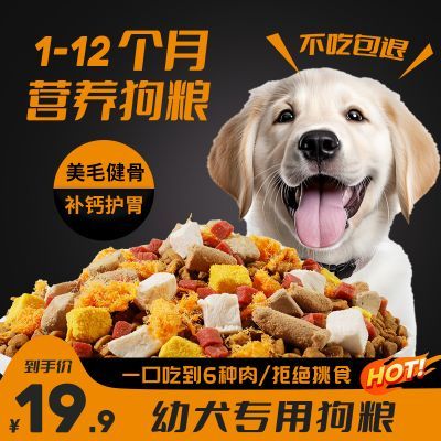 幼犬专用狗粮奶糕粮小颗粒小奶狗小型犬泰迪幼犬粮金毛小狗粮批发