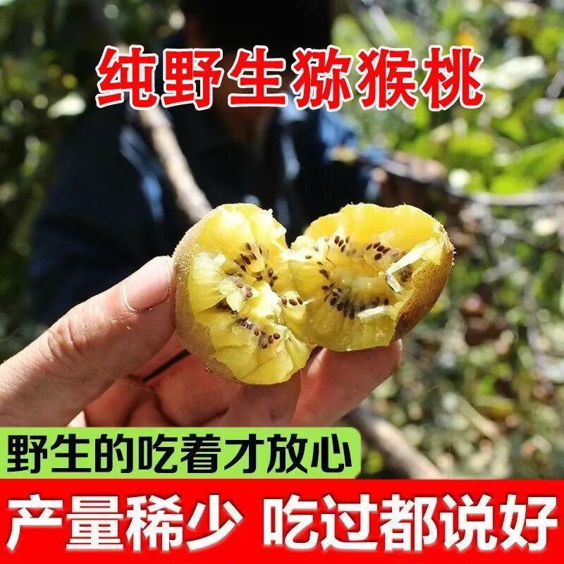 野生黄心猕猴桃现货四川陕西当季应季水果新鲜孕妇正宗奇异果整箱